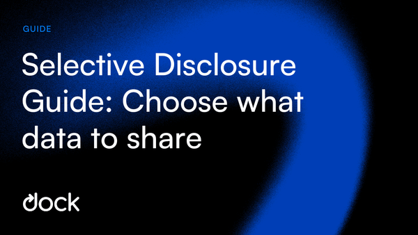 Selective Disclosure Guide: Privacy Feature of Verifiable Credentials